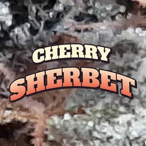 Cherry Sherbet Cannabis Strain