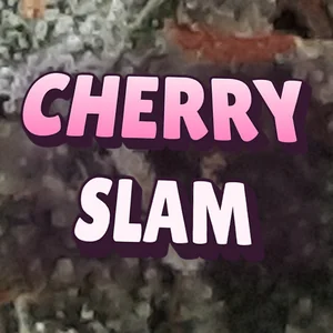 Cherry Slam Cannabis Strain