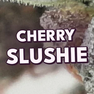 Cherry Slushie Cannabis Strain