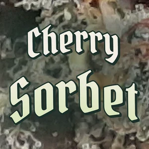 Cherry Sorbet Cannabis Strain