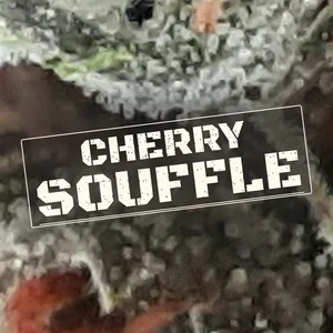 Cherry Souffle Cannabis Strain