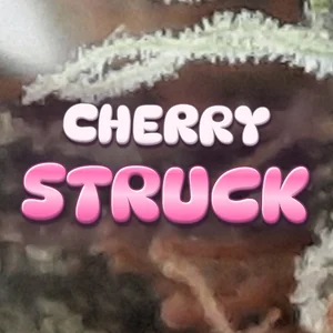 Cherry Struck Cannabis Strain