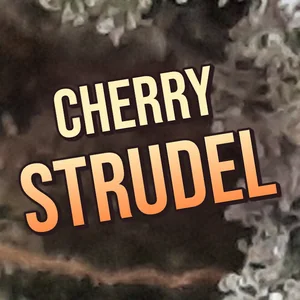 Cherry Strudel Cannabis Strain