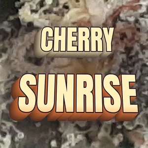 Cherry Sunrise Cannabis Strain