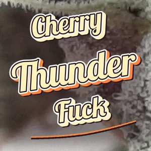 Cherry Thunder Fuck Cannabis Strain