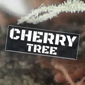 Cherry Tree Cannabis Strain