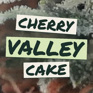 Cherry Valley Cake Cannabis Strain