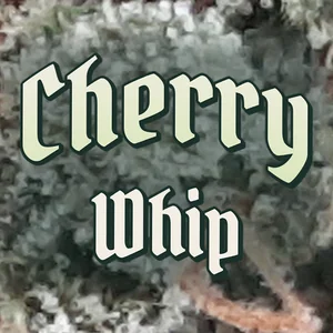 Cherry Whip Cannabis Strain
