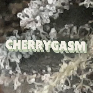 Cherrygasm Cannabis Strain