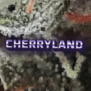 Cherryland Cannabis Strain