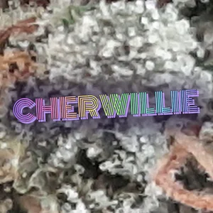 Cherwillie Cannabis Strain