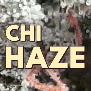 Chi Haze Cannabis Strain