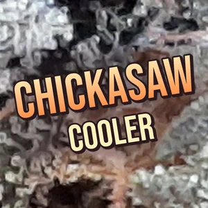 Chickasaw Cooler Cannabis Strain