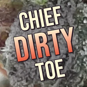 Chief Dirty Toe Cannabis Strain