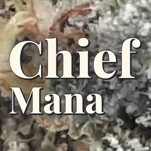 Chief Mana Cannabis Strain