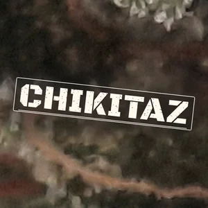 Chikitaz Cannabis Strain