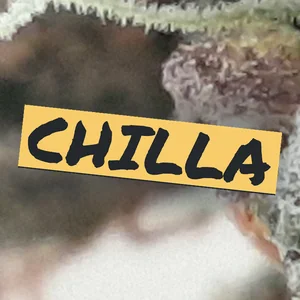 Chilla Cannabis Strain