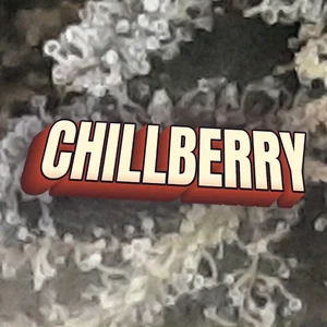 Chillberry Cannabis Strain