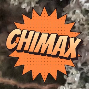 Chimax Cannabis Strain
