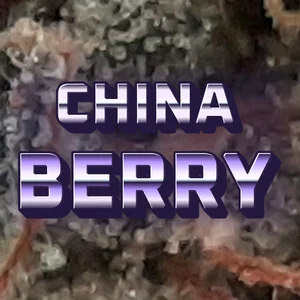China Berry Cannabis Strain