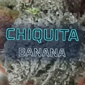 Chiquita Banana Cannabis Strain