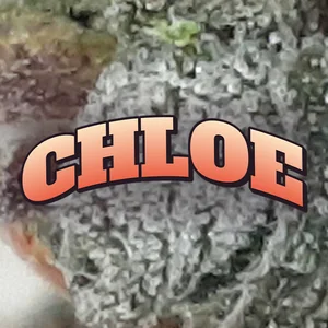 Chloe Cannabis Strain