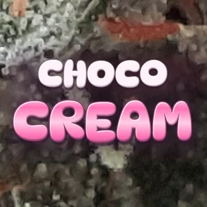 Choco Cream Cannabis Strain