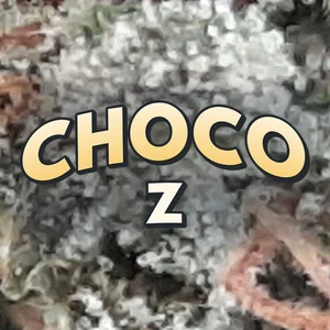 Choco Z Cannabis Strain