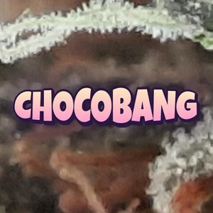 Chocobang Cannabis Strain