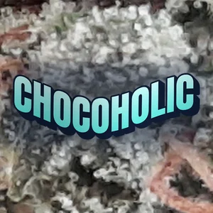 Chocoholic Cannabis Strain