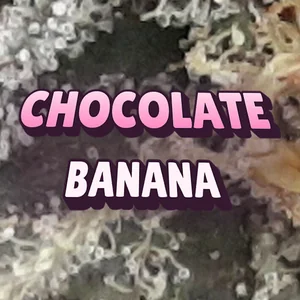 Chocolate Banana Cannabis Strain