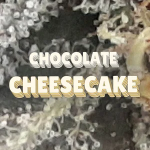 Chocolate Cheesecake Cannabis Strain
