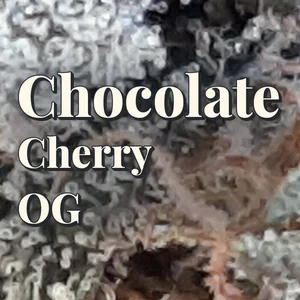 Chocolate Cherry OG Cannabis Strain