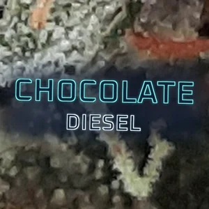 Chocolate Diesel Cannabis Strain