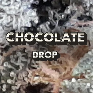Chocolate Drop Cannabis Strain