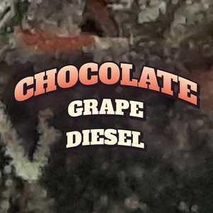 Chocolate Grape Diesel Cannabis Strain