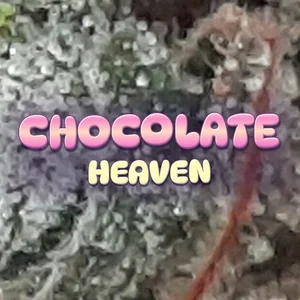 Chocolate Heaven Cannabis Strain