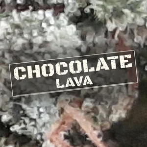 Chocolate Lava Cannabis Strain