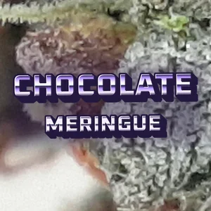 Chocolate Meringue Cannabis Strain