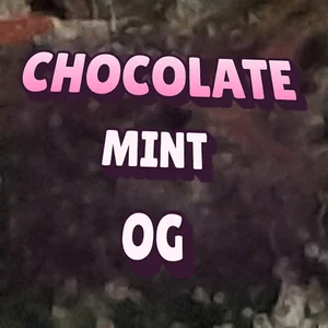 Chocolate Mint OG Cannabis Strain