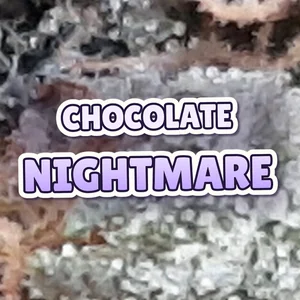 Chocolate Nightmare Cannabis Strain