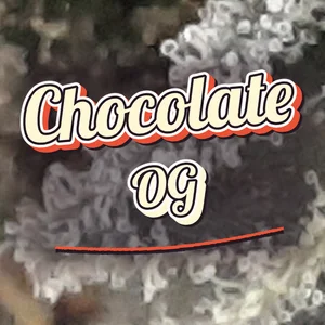 Chocolate OG Cannabis Strain