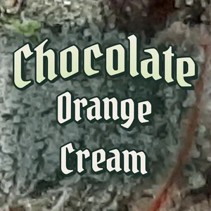 Chocolate Orange Cream Cannabis Strain