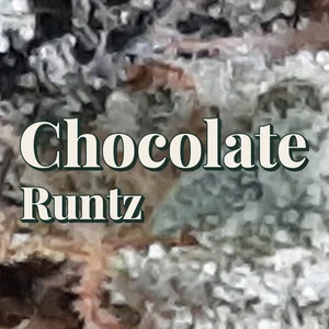Chocolate Runtz Cannabis Strain