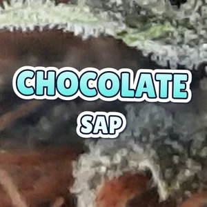 Chocolate Sap Cannabis Strain