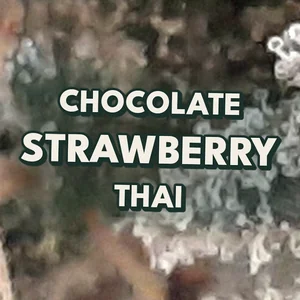 Chocolate Strawberry Thai Cannabis Strain