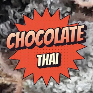 Chocolate Thai Cannabis Strain