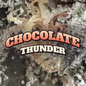 Chocolate Thunder Cannabis Strain