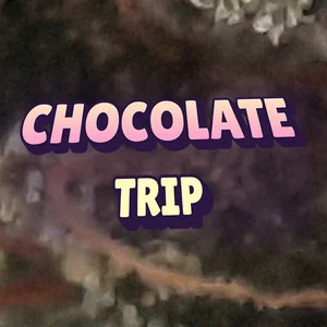 Chocolate Trip Cannabis Strain