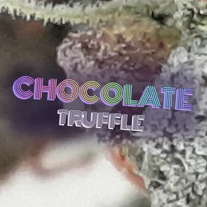 Chocolate Truffle Cannabis Strain